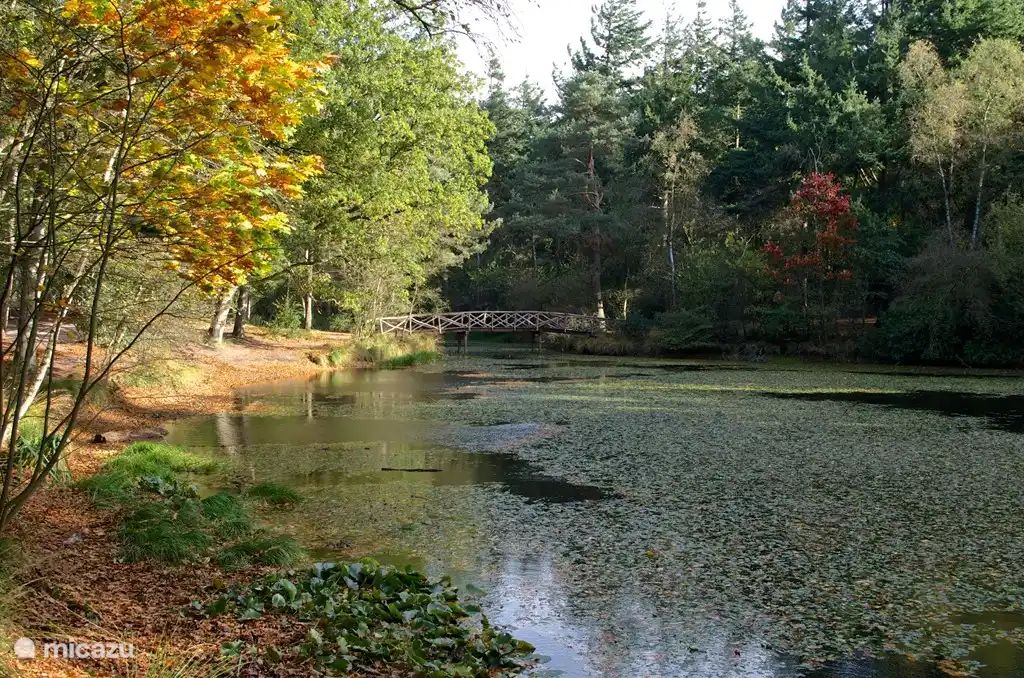 Die Essecke mit Krämerladen Schrank und Küche mit Terrassentüren.