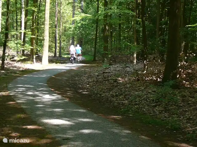 Le suricate | Pays-Bas, Frise, Oudemirdum - maison de vacances Itinéraires cyclables à travers les bois et les villages