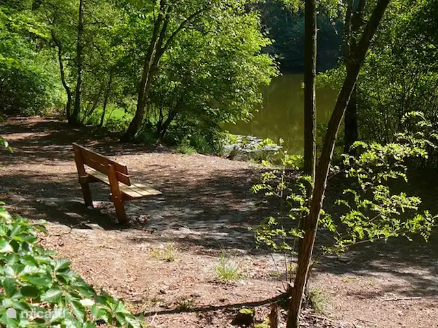 Le suricate | Pays-Bas, Frise, Oudemirdum - maison de vacances Sentier de randonnée à travers la forêt