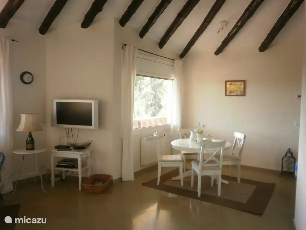 Nederlandse televisie