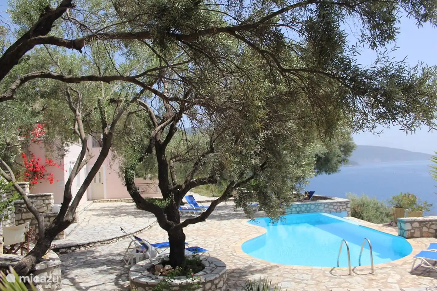 Pool mit Paradiesgarten.