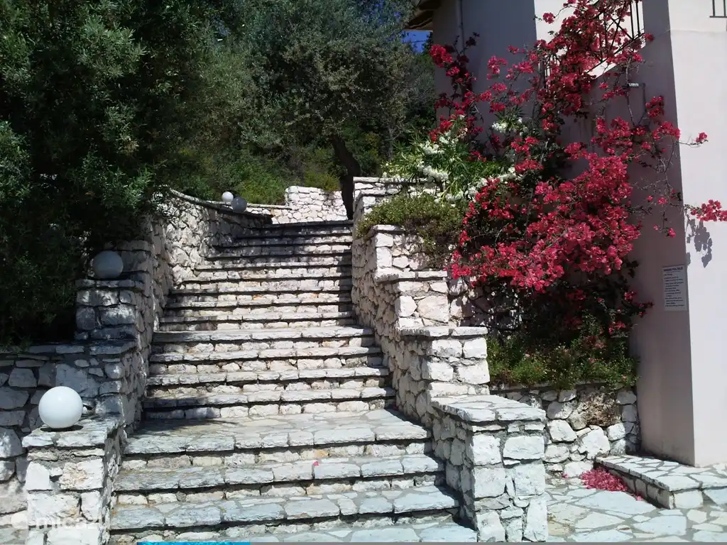 Die Verbindung von Ebene 0 zu -1 erfolgt über eine der beiden eindrucksvollen Treppen. Links und rechts vom Haus führen die mit Bepflanzungen gesäumten Natursteinstufen hinab zu den nahezu windfreien Terrassen mit dem eingelassenen Swimmingpool.p