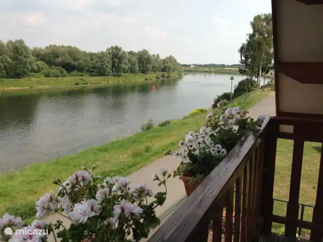 Location de Vacances Belgique, Limbourg, Maaseik, chalet - Vive la vie vue du balcon de la chambre