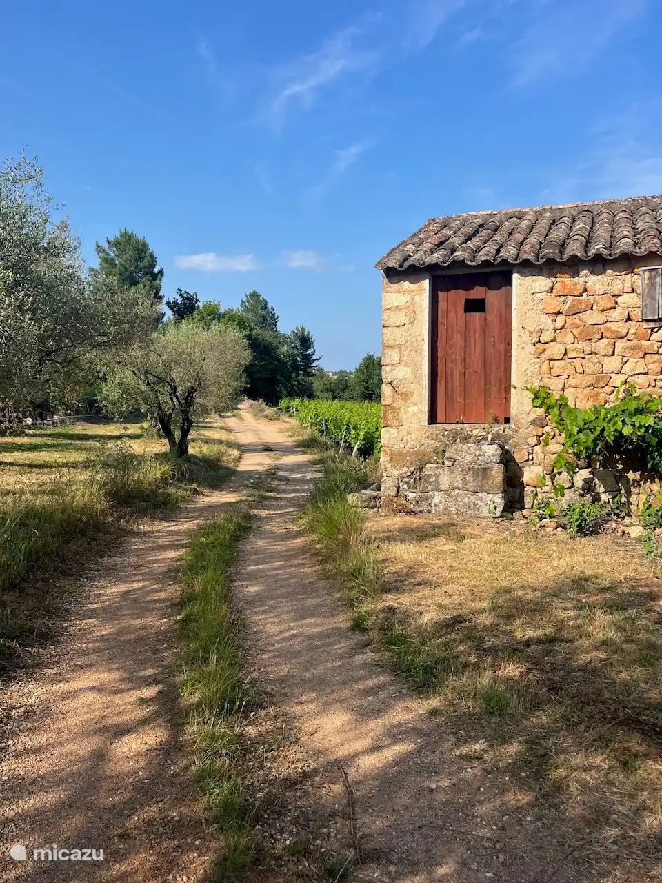 Près de la maison, dans les vignobles...