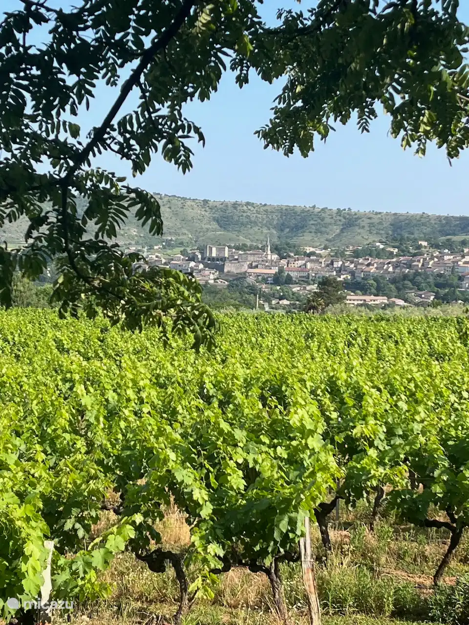 Ici, la vue sur Joyeuse depuis les vignobles voisins.
