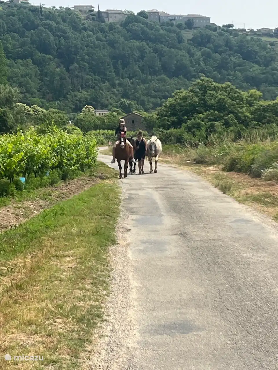 Pour les amateurs d’équitation, il existe plusieurs possibilités. 