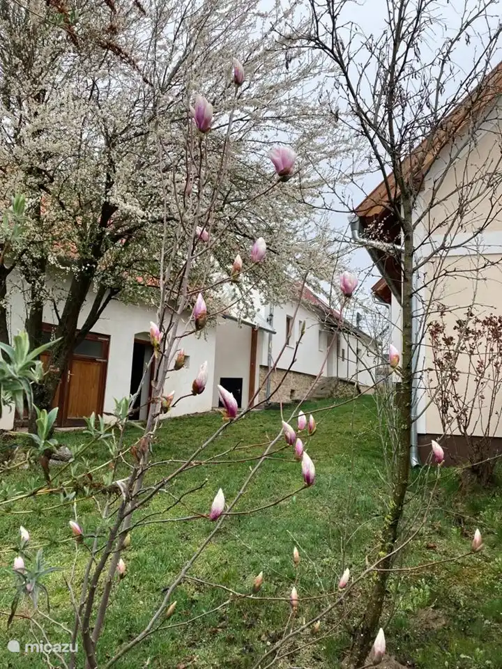 ferienhaus in Plattensee, Ungarn – Rustpunt