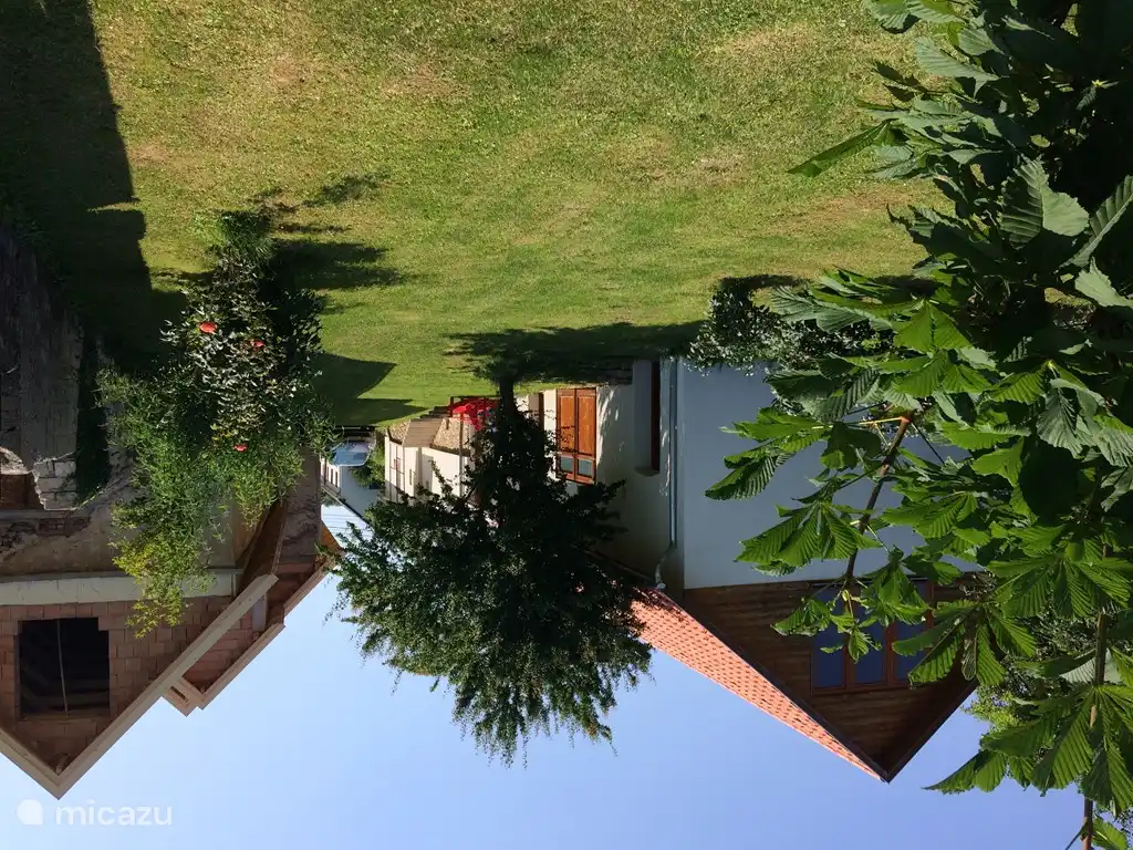 So war es auch vor 5 Jahren: Die Neubepflanzung begann gut zu wachsen und ist jetzt noch üppiger