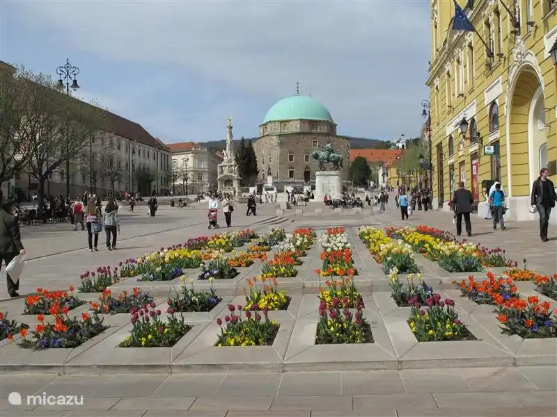In Südungarn, ein paar Stunden Fahrt ist Pécs, mit seinen schönen Zentrum. Der Süden hat eine ganz andere Atmosphäre als die Northwestern Ungarn. Es ist auf jeden Fall eine Reise wert!