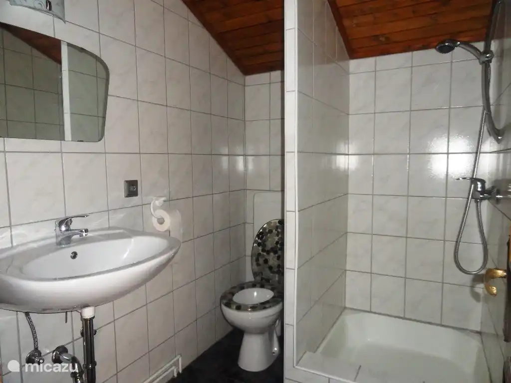 Badezimmer 1 mit WC, Dusche und Waschbecken