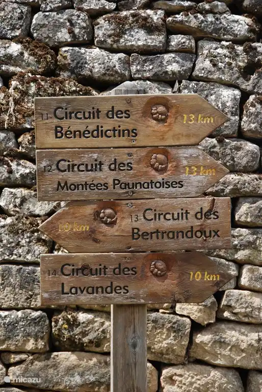 Er vertrekken 4 uitgestippelde en bewegwijzerde wandelingen in Paunat