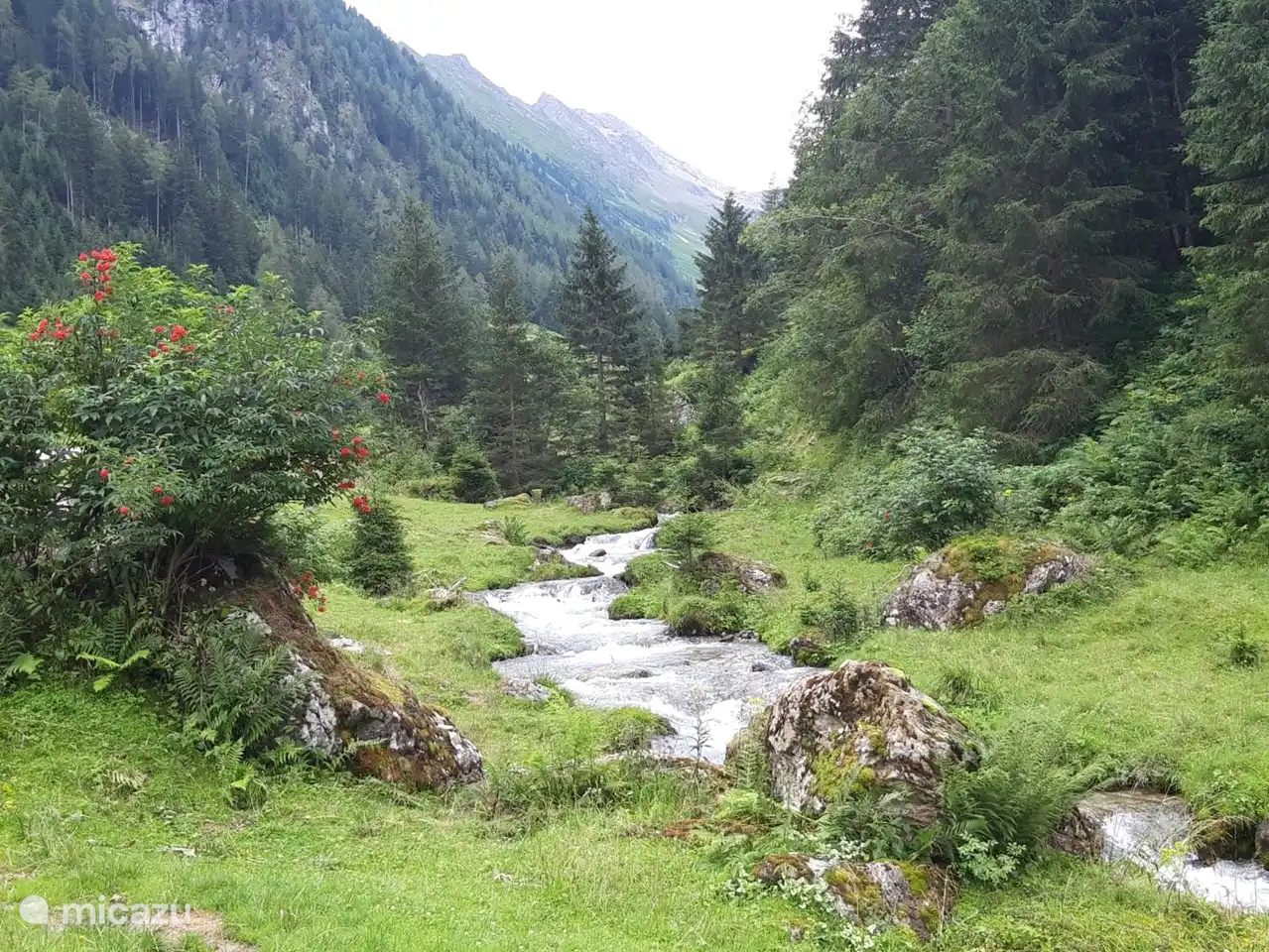 Zijdal Gerlos, Schwarzachtal