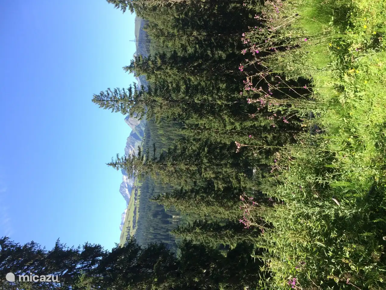 Dal bij Ronach, Salzachtal.