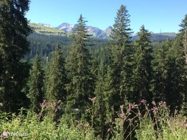 Haus Marlene huren in Oostenrijk, Salzburgerland, Krimml - vakantiehuis Dal bij Ronach, Salzachtal.