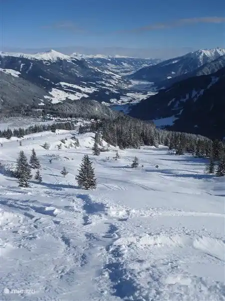 Filzsteinalm Richtung Krimml, Wald, Neukirchen.