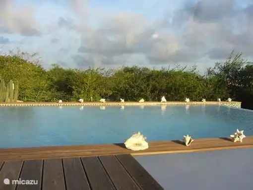 Infinity Pool inmitten tropischer Gärten, Außendusche, Sonnenterrasse und Liegestühlen, wirklich genießen