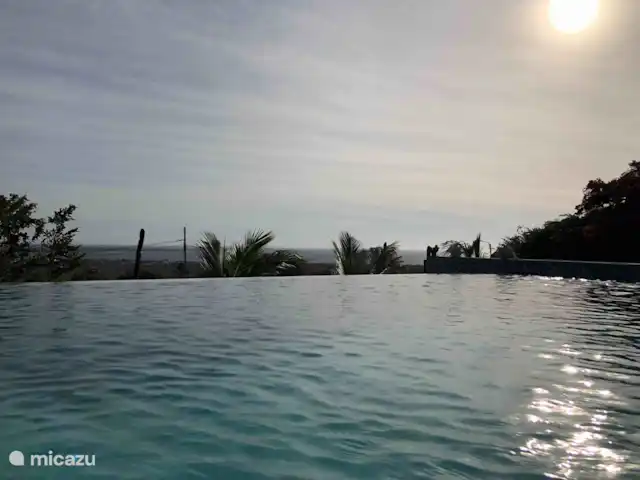 Location de Vacances Bonaire, Bonaire, Santa Barbara, villa - Villa Eldorado La piscine à débordement fait de belles photos :)