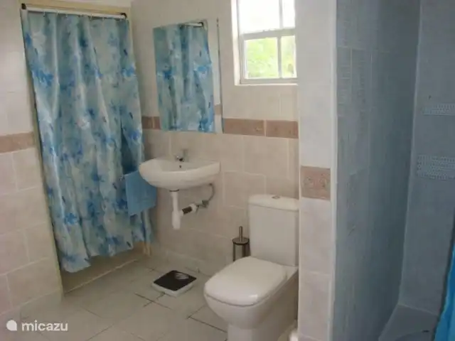 Bungalow Ederlin Curaçao | Curaçao, Curaçao-Centre, Willemstad - bungalow Salle de bain avec WC, douche, lavabo et placard.
Chaque salle de bain est équipée d'un pèse-personne et d'un sèche-cheveux.