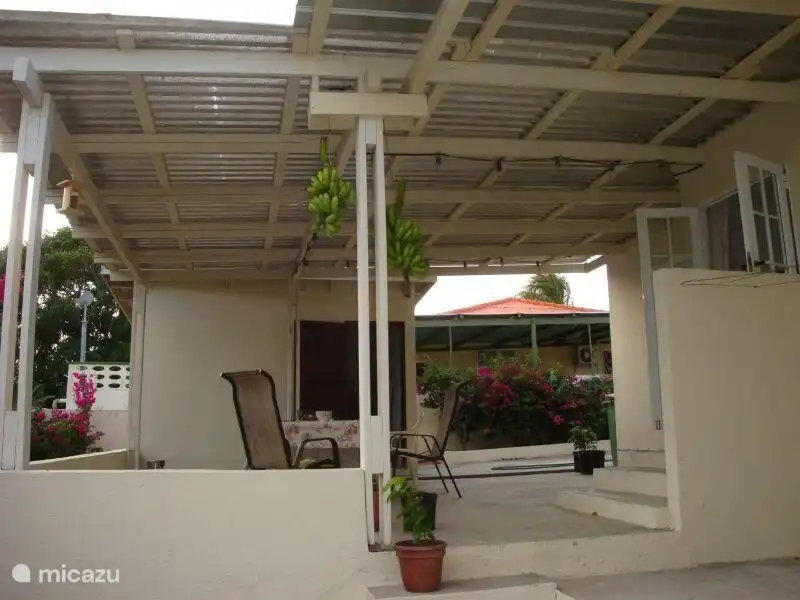 The covered terrace.