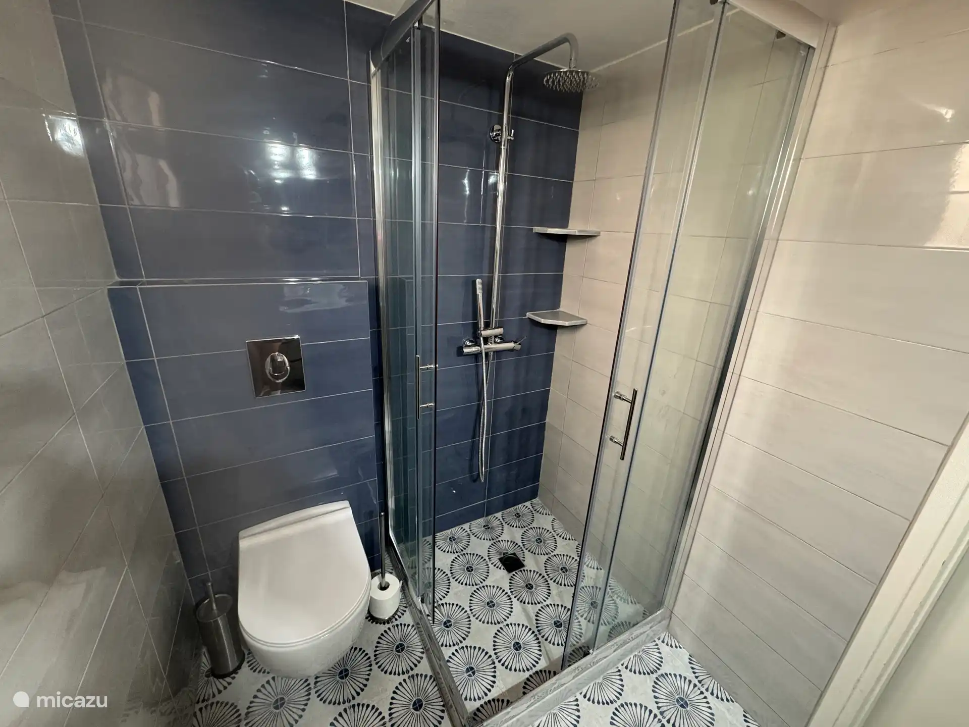 WC und Dusche im neuen Badezimmer