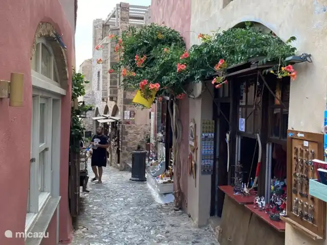 Maison de vacances avec piscine et vue mer | Grèce, Péloponnèse, Iria (Nafplion) - maison de vacances Shopping à Monemvasia, une belle vieille ville fortifiée sur un haut rocher dans la mer (environ 3 heures de bateau depuis Tolo).