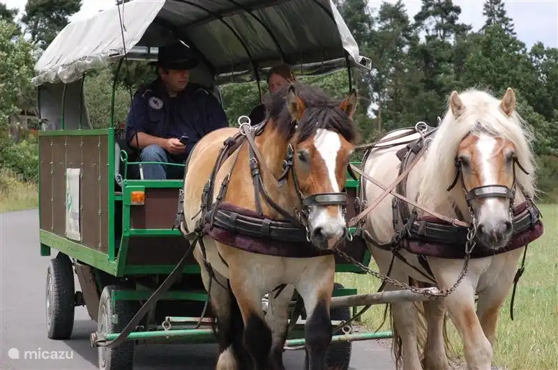 Eine Planwagenfahrt durch die schöne Landschaft gehort zu den Möglichkeiten.