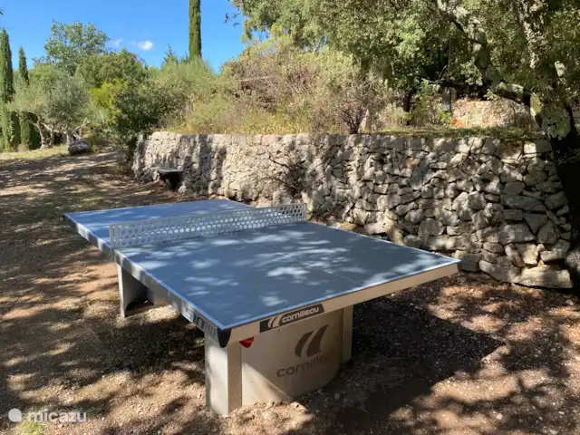 Lei Restanques | France, Var, Carcès - maison de vacances Table de ping-pong
