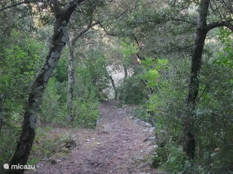 Eine szenische auf dem Gelände über das Tal ist auch bewaldete Straße leicht zugänglich.