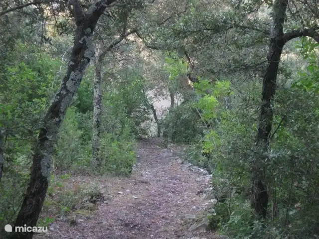 Lei Restanques | France, Var, Carcès - maison de vacances Un sentier pittoresque sur la propriété privée de l'autre côté de la vallée, cet autre côté boisé est aussi facilement accessible.