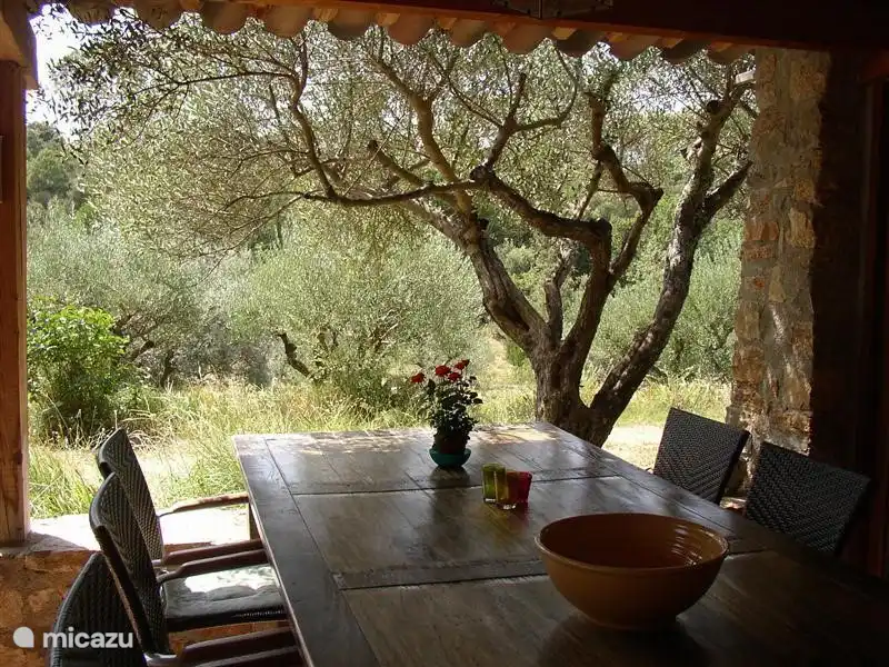 Ihr Lieblingsplatz: am Tisch auf der überdachten Außenterrasse, mit dem Olivenbaum zum Greifen nah und dem Blick auf das Privatgrundstück.