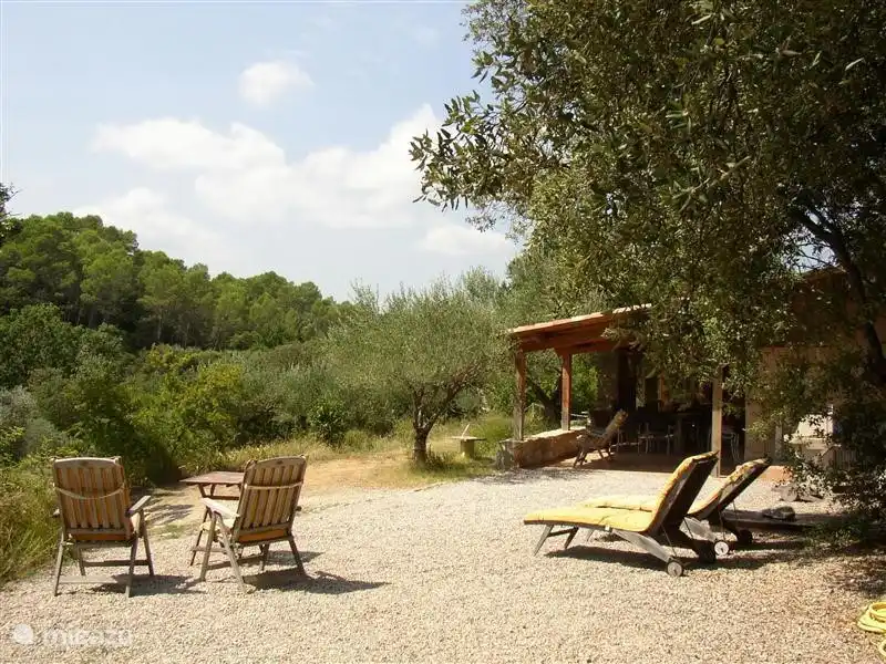 Viel Platz rund um das Haus mit zwei Liegestühlen.