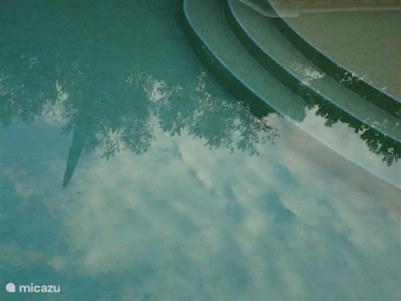 Reflection von Zypressen in den Pool.