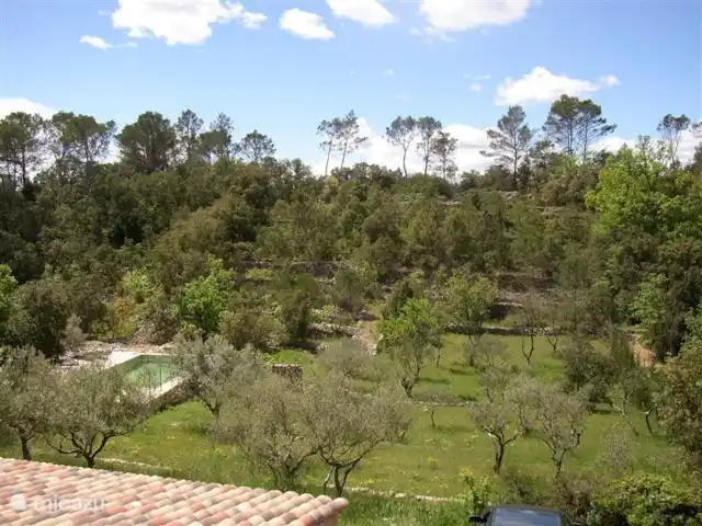 Lei Restanques | France, Var, Carcès - maison de vacances Vue de la propriété privée depuis l’arrière de la maison. Sur la gauche, vous pouvez voir la piscine. La piscine est à 20 mètres de la maison.