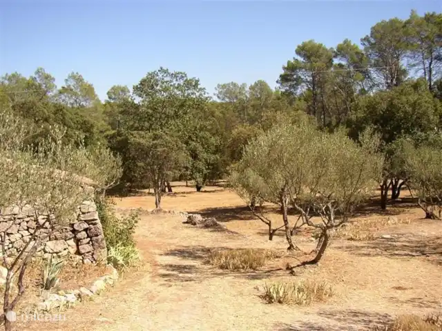 Lei Restanques | France, Var, Carcès - maison de vacances Votre vue depuis la terrasse de la piscine en plein été. Ensuite, tout sauf les arbres devient jaune / marron.