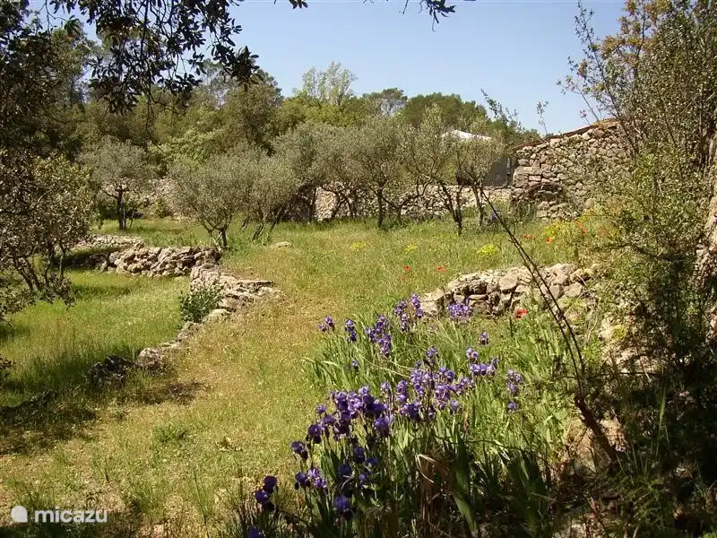 Im Frühjahr ist alles grün und es ist auf dem Gelände und echte Blumen. Ein Paradies für Botaniker!