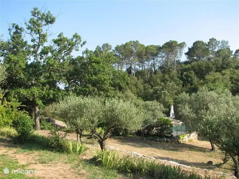 Der Standort für das Haus.