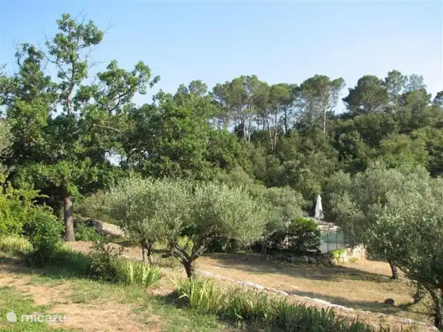 Lei Restanques | France, Var, Carcès - maison de vacances Le terrain devant la maison.