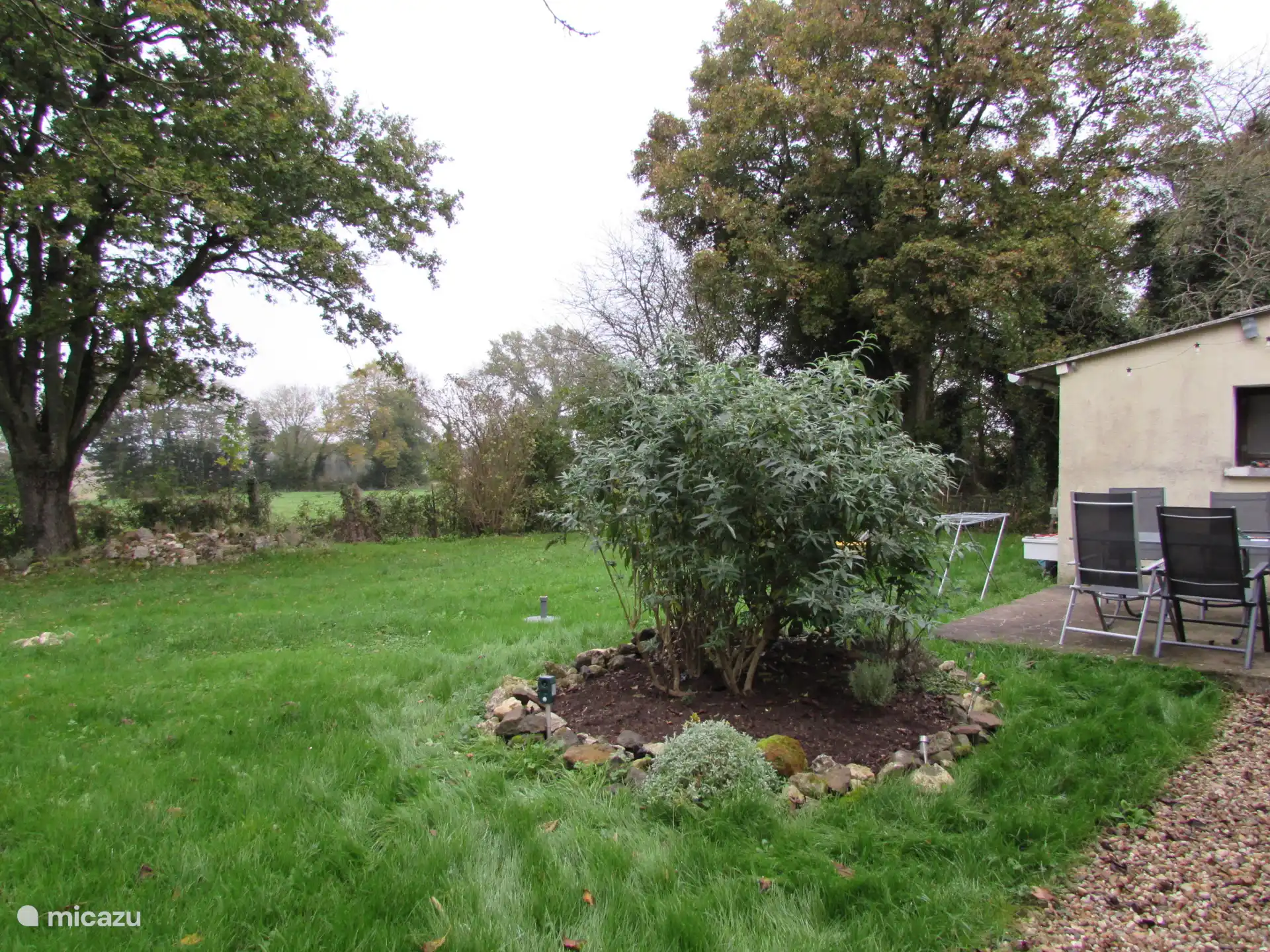 Terrasse d’automne derrière et arbre aux papillons captivé