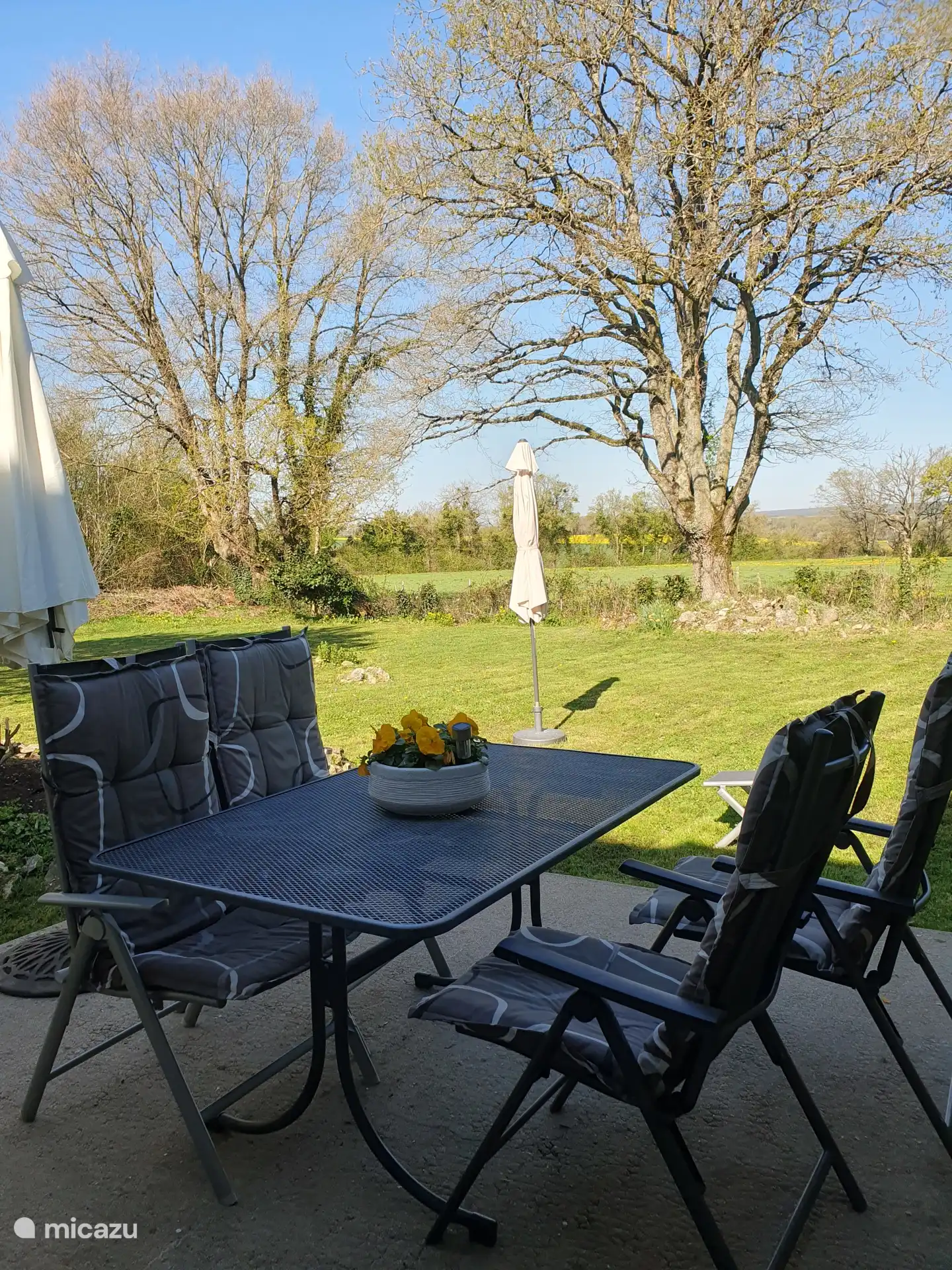 Terrasse arrière avec vue dégagée. Asseyez-vous jusqu’aux dernières heures, puis profitez des nombreux sons d’oiseaux, des écureuils et de magnifiques couchers de soleil 