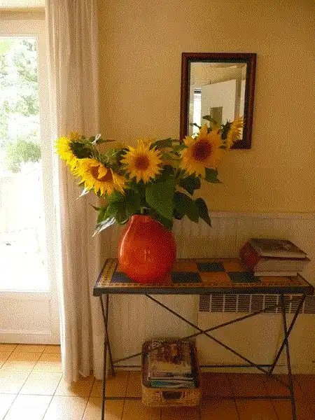 'Garden room' avec portes-fenêtres donnant sur la terrasse et le jardin.