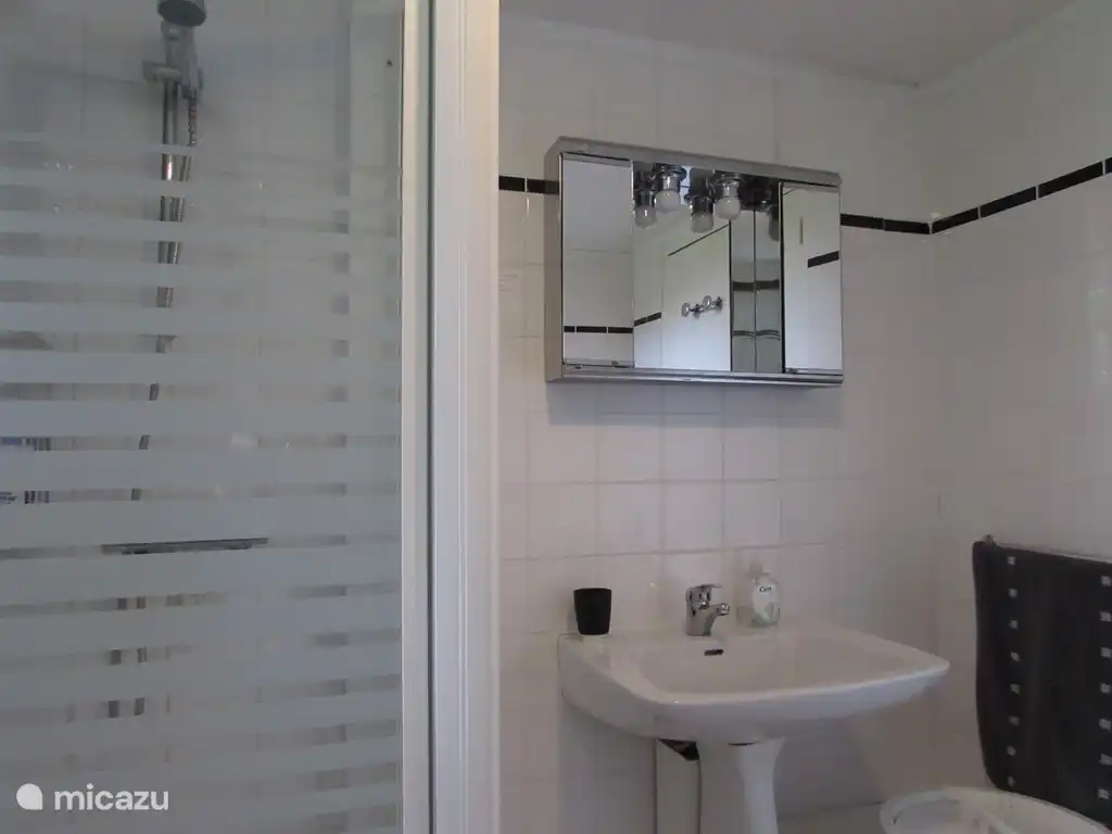 Rez-de-chaussée : salle de douche attenante à la salle de jardin. La machine à laver se trouve également ici.