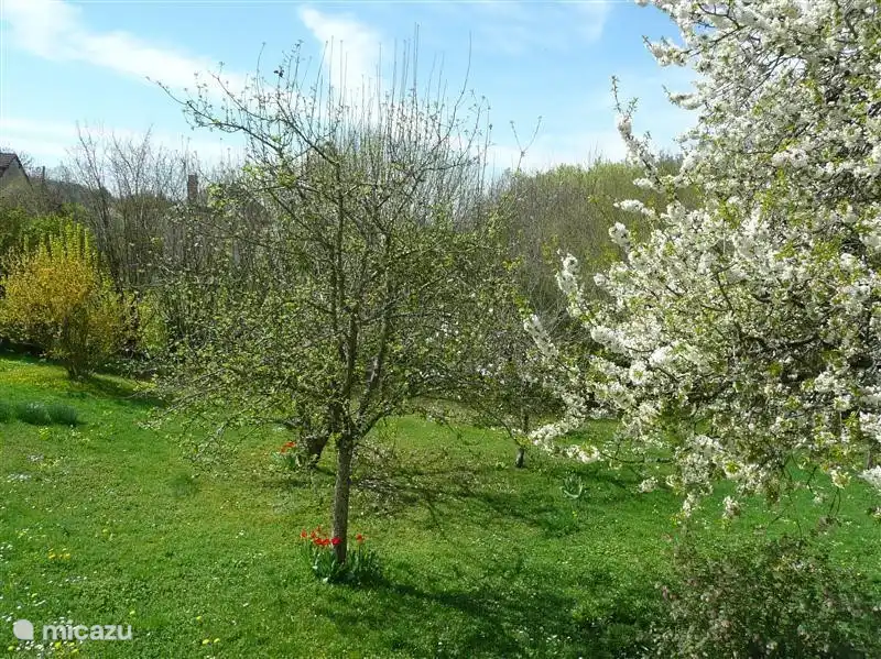 Vue de la chambre principale !