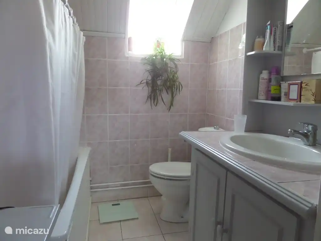 À l’étage, salle de bain plus douche et WC 