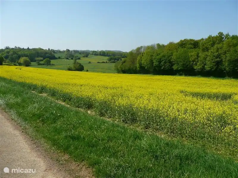 Un des nombreux sentiers de randonnée à proximité immédiate de la maison