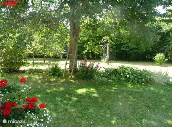 Profitez du grand jardin ensoleillé avec de beaux arbres et plantes.