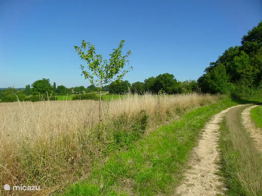 Au coin de la rue, beau sentier de randonnée.  Idéal avec le chien.
