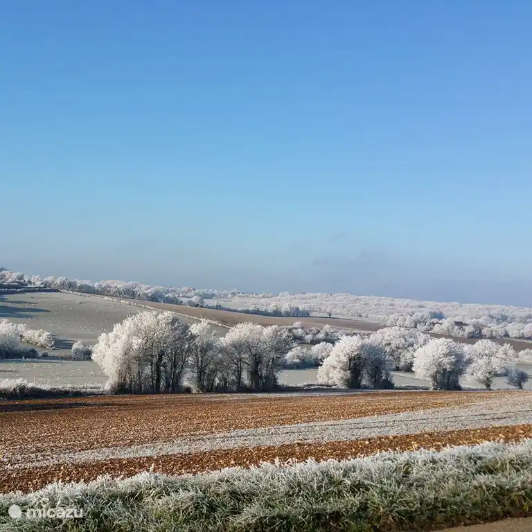 Maison environnante en hiver.