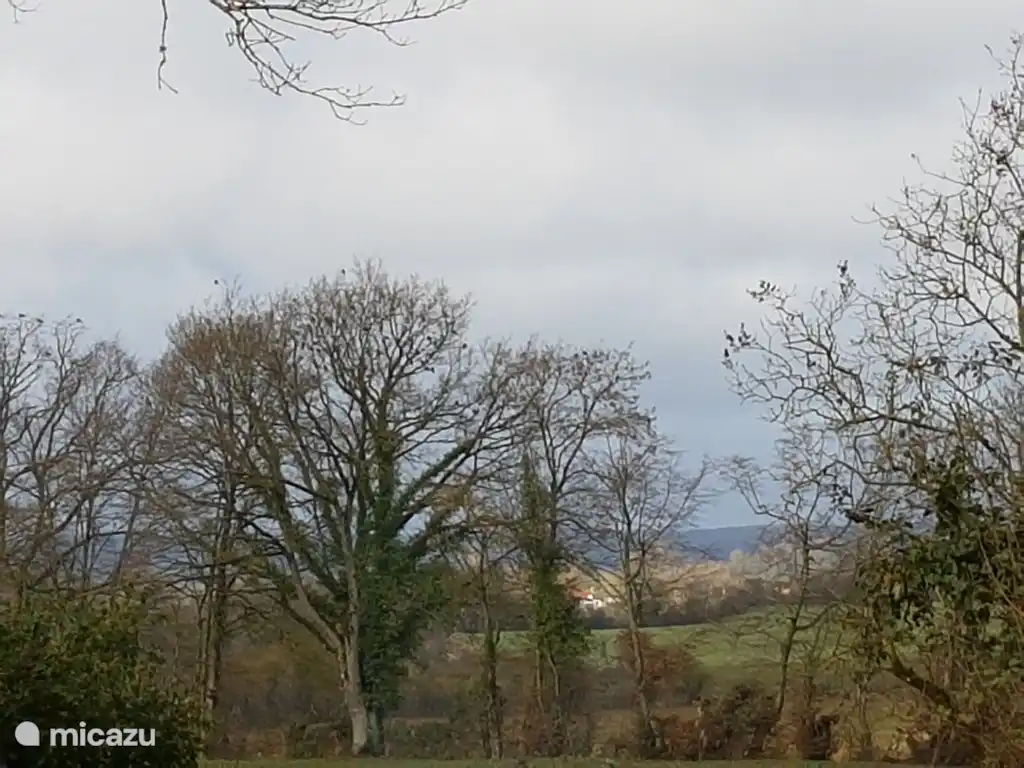 Vue à l’arrière en hiver