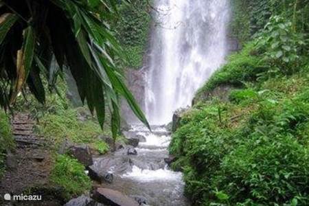 Wasserfälle und Reisterrassen