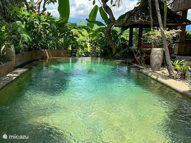 Maison de Vacances Indonésie, Bali, Brong Bong - villa villa Ananda